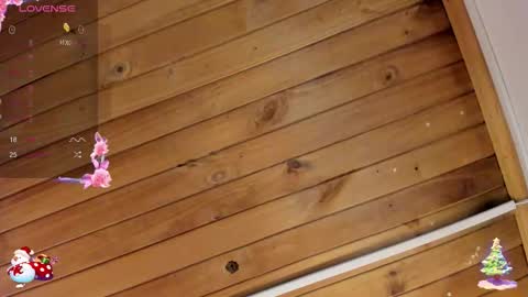 Cristal online show from November 23, 2025, 4:12 am