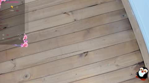 Cristal online show from January 9, 2026, 4:15 am