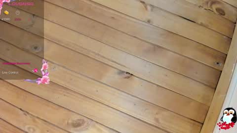 Cristal online show from February 23, 2026, 4:10 am