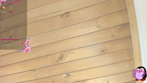 Cristal online show from March 17, 2026, 4:06 am