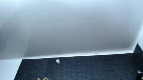 Hanna  online show from December 17, 2024, 10:12 am