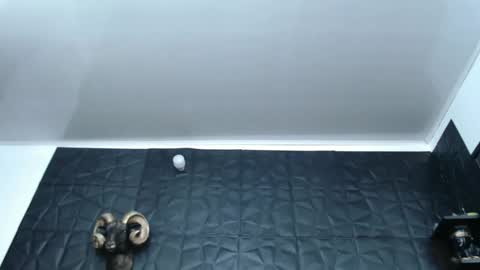 Hanna  online show from February 27, 2025, 5:56 am