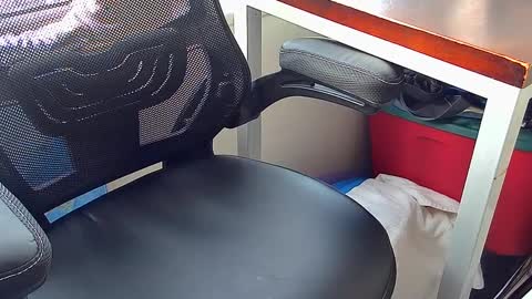 Snapshot of cristiano_ronaldo_sexy_man chatting on February 8, 2025, 11:55 pm Cristiano Ronaldo sexy man online show from February 8, 2025, 11:55 pm