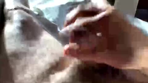 Crushit online show from January 10, 2026, 5:04 pm