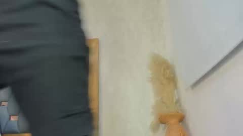 Snapshot of crystal_sm chatting on February 27, 2026, 3:06 am crystal_sm online show from February 27, 2026, 3:06 am