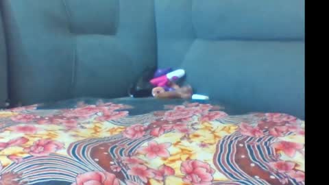 crystallgem online show from March 2, 2026, 1:07 pm