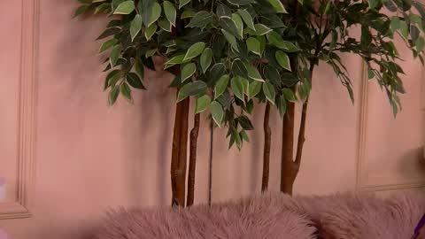 crystallred online show from February 18, 2026, 6:20 am