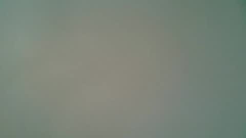 ctbddc online show from February 10, 2025, 1:44 pm