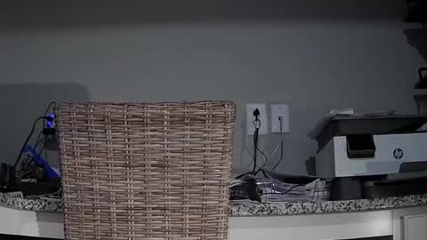 Cubantoo online show from November 22, 2025, 11:15 pm