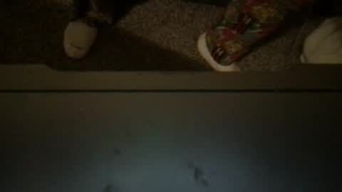 CuddleFuckXXX online show from April 3, 2026, 3:15 am