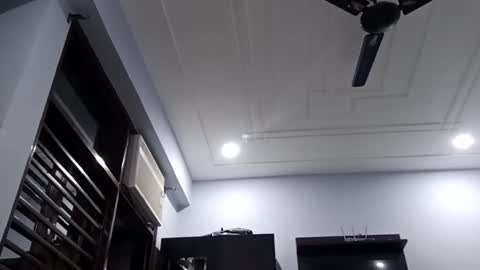 cuddlemuffins online show from February 27, 2026, 3:23 pm