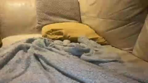 Snapshot of cumfar1985 chatting on December 18, 2025, 2:39 am Cumfar online show from December 18, 2025, 2:39 am