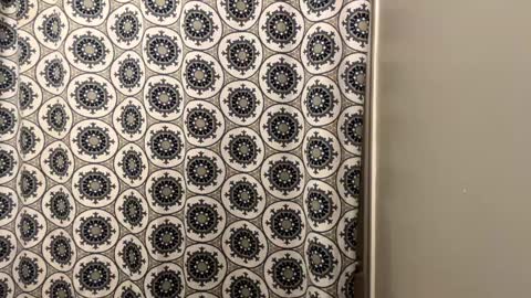 ConCon online show from January 20, 2025, 12:36 am