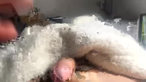 Snapshot of cumonmyf33t chatting on February 22, 2025, 12:19 pm cumonmyf33t online show from February 22, 2025, 12:19 pm