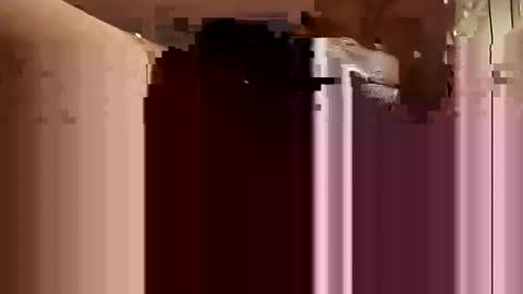 Aprilia online show from February 22, 2025, 1:00 am