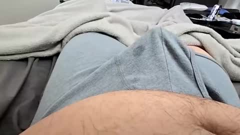 cumvet online show from December 8, 2024, 2:41 pm