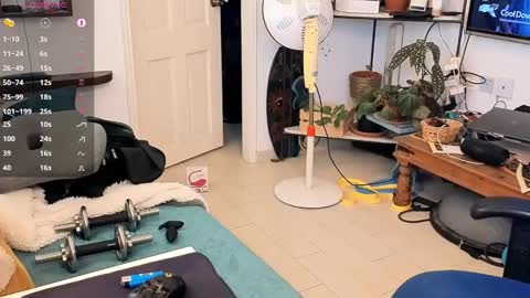 curiousgenie online show from April 20, 2026, 11:02 am