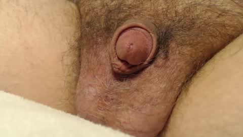 curve66 online show from December 4, 2025, 3:38 am