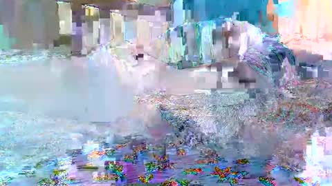 cute_savanna online show from February 11, 2026, 8:19 am