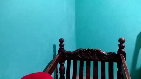 Snapshot of cutechey06 chatting on January 4, 2025, 9:09 pm Sky online show from January 4, 2025, 9:09 pm