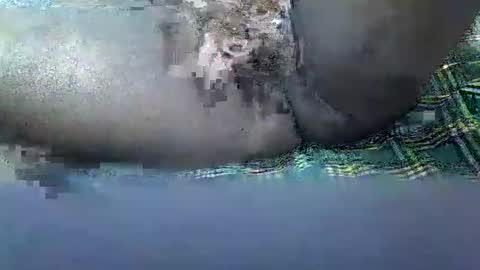 Snapshot of cutee_daddy chatting on November 16, 2025, 1:39 pm daddy online show from November 16, 2025, 1:39 pm