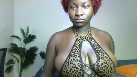 Amaya online show from April 28, 2026, 2:00 pm