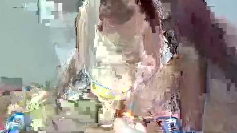 bella online show from February 1, 2025, 1:55 am