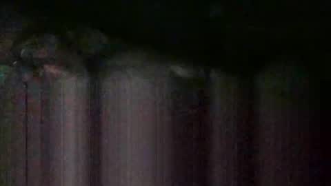 cwill27837 online show from February 22, 2026, 2:34 am