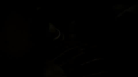 d1domoo online show from February 25, 2026, 4:49 pm