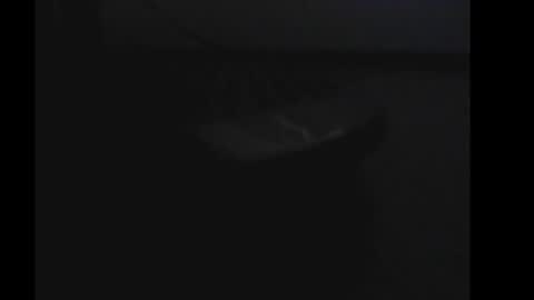 Snapshot of daddy4you60 chatting on January 1, 2025, 7:52 am daddy4you60 online show from January 1, 2025, 7:52 am