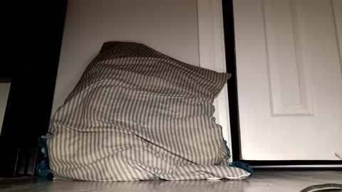 daddyplumber1 online show from December 21, 2025, 5:14 am