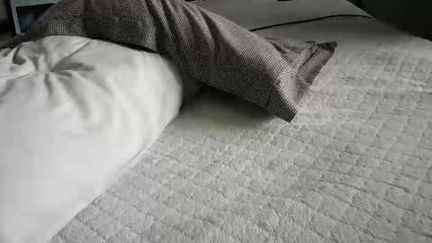 daddyslittleebony online show from February 3, 2026, 9:03 am