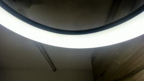 dafne_evaans online show from May 19, 2026, 11:27 am