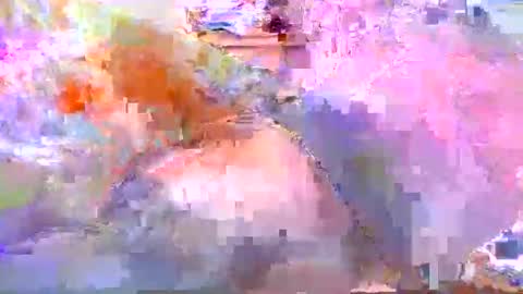 dafo1980 online show from April 20, 2026, 12:19 pm