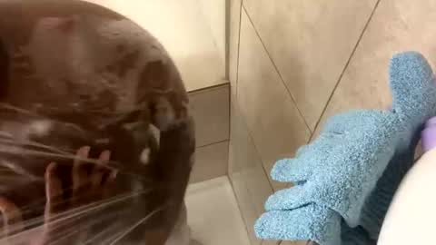 Snapshot of dafoxxx876 chatting on November 24, 2025, 8:03 am dafoxxx876 online show from November 24, 2025, 8:03 am