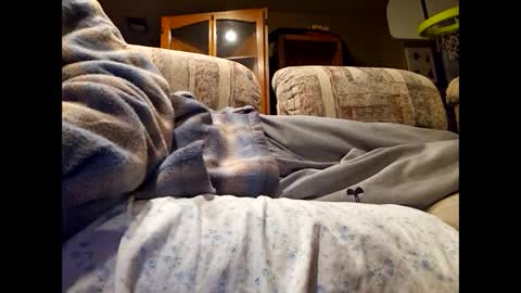 Snapshot of dailyjerker84 chatting on March 1, 2025, 6:13 am DailyJerker84 online show from March 1, 2025, 6:13 am