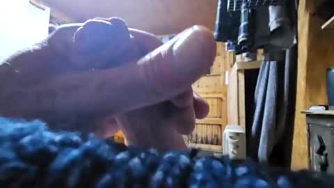 dave online show from October 24, 2025, 8:49 pm