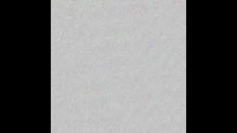 Dakota online show from December 18, 2025, 11:27 am