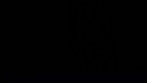 Dakota Simon online show from February 5, 2025, 11:55 am