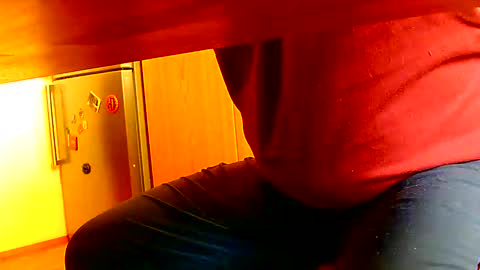 Dammerl online show from January 8, 2025, 10:48 am