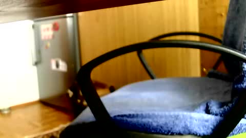 Dammerl online show from April 3, 2026, 1:31 pm