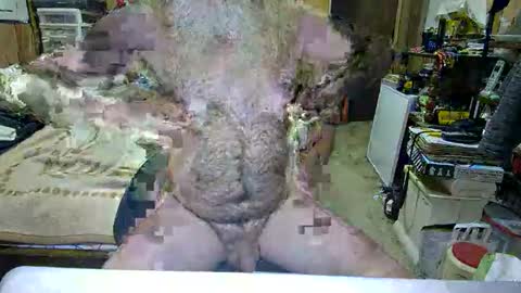 Snapshot of danagm chatting on October 29, 2025, 4:42 pm Dana online show from October 29, 2025, 4:42 pm