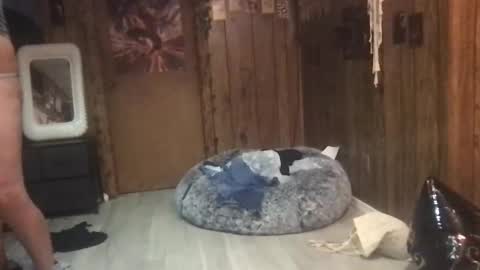 DanaMaris666 online show from September 25, 2025, 7:28 pm