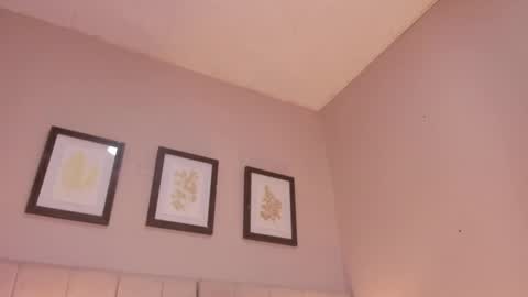 Hi I am Dani online show from May 5, 2026, 11:40 am