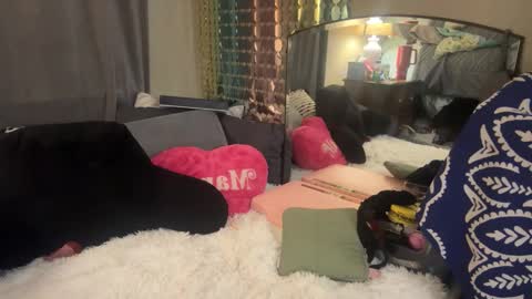 Dani Dragon online show from February 5, 2025, 8:32 am