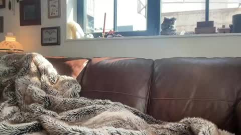 Snapshot of danielbishopxxx chatting on March 1, 2026, 8:00 pm Daniel Bishop Mason online show from March 1, 2026, 8:00 pm