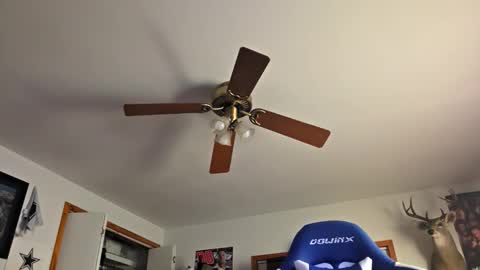 Snapshot of danielp_mod_cb chatting on October 22, 2025, 11:15 pm Daniel y. online show from October 22, 2025, 11:15 pm