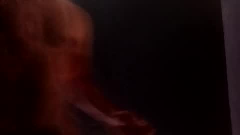 Snapshot of daniwood473904 chatting on April 4, 2026, 3:38 am daniwood473904 online show from April 4, 2026, 3:38 am