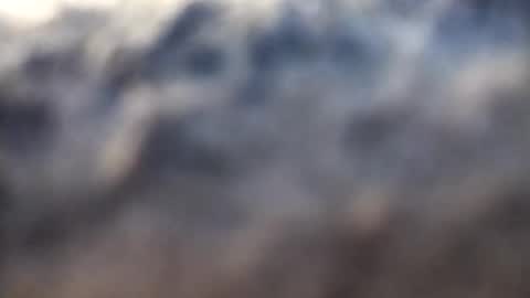 Snapshot of dannowisc chatting on February 17, 2026, 2:52 am dannowisc online show from February 17, 2026, 2:52 am