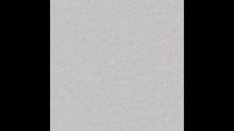 Dannyaa online show from November 20, 2025, 11:54 am